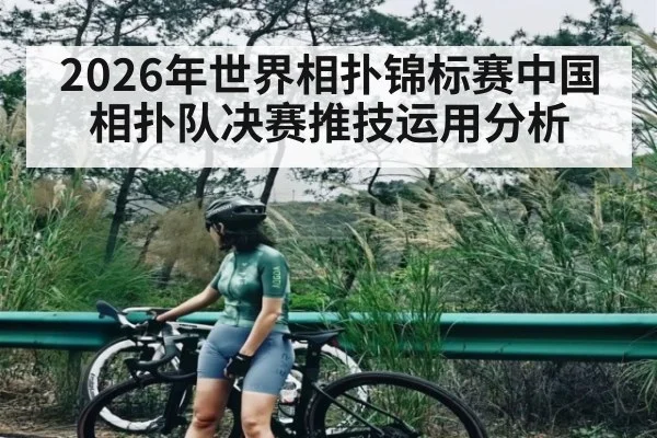 2026年世界相扑锦标赛中国相扑队决赛推技运用分析
